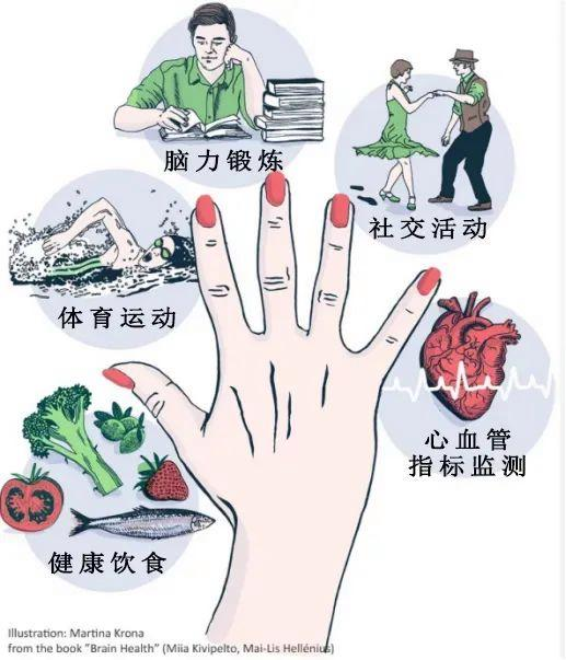 用脑太少和用脑过度，哪个更易“老年痴呆”？相关图片2